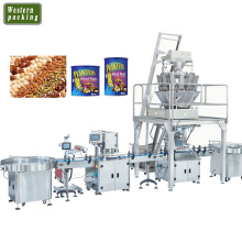 Nuts Chips Gewichtsfüllmaschine für Cashewnows Pistazien